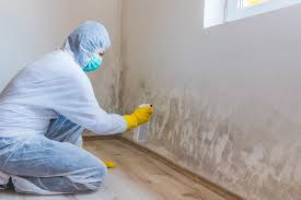 Trusted Portland, TN Mold Removal Experts