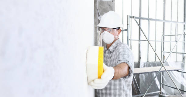 Best Basement Mold Removal in Portland, TN