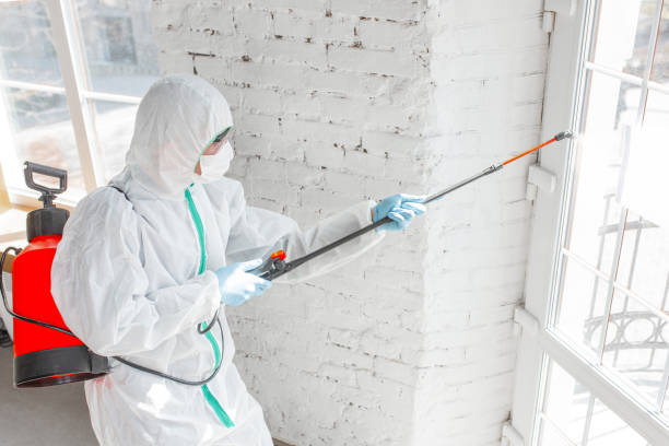 Best Commercial Mold Inspection in Portland, TN