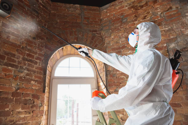 Best Biohazard Mold Removal in Portland, TN