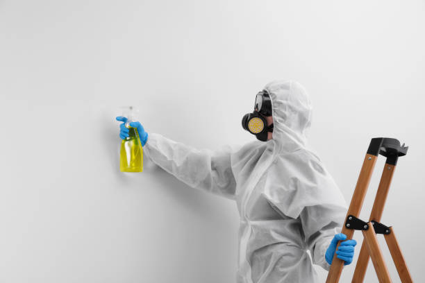 Best Mold Damage Restoration in Portland, TN